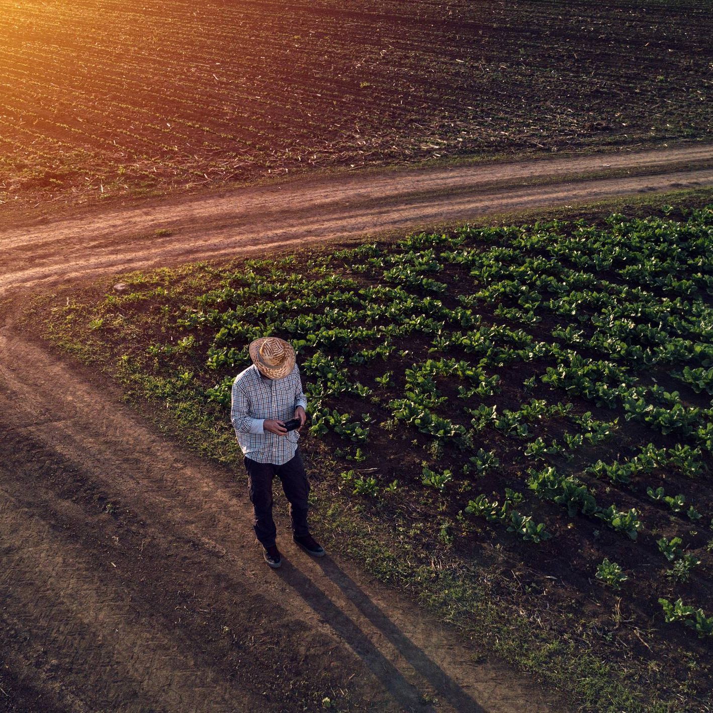 farmer-in-field